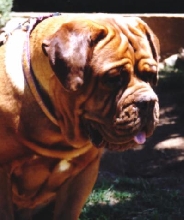 Rana