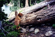 rana climbing