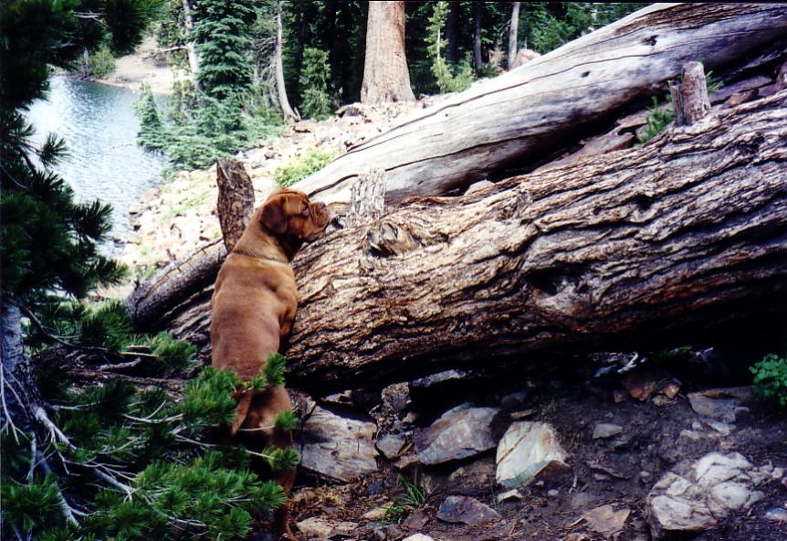 rana climbing