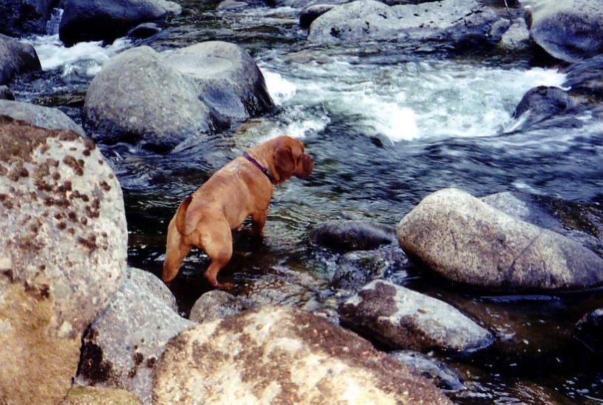 Rana River