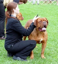 Rana