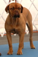 Rosie