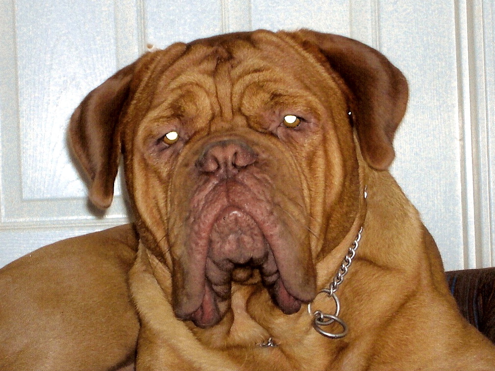 Ryder