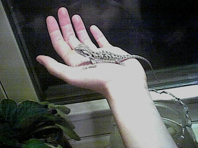 the baby i think is a female