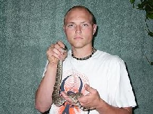 Mojave rattler