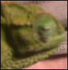 Bad Pic...