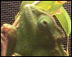 Good eye