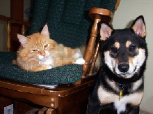 Bodie and Sid