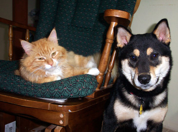 Bodie and Sid