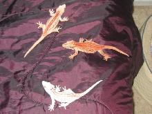 Red Trio