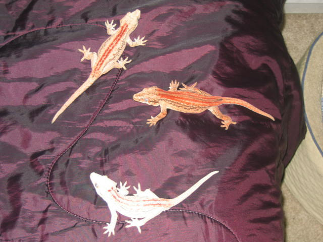 Red Trio