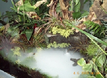 Terrarium with fogger