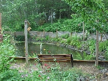The back end of the pond