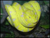GTP2