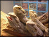 group shot