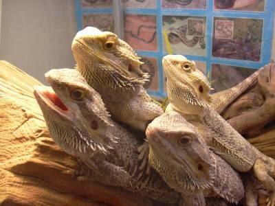 group shot