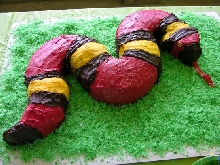 Snake Cake