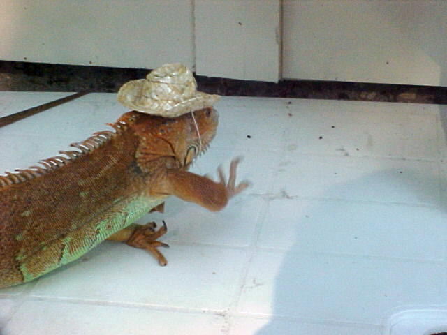 John Wayne Impression
