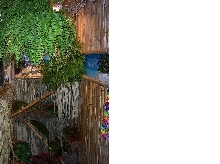 inside speckled racer cage