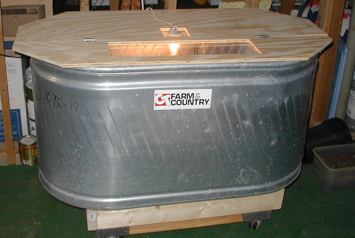 kimberly tank