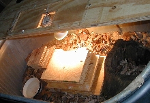 kimberly tank interior