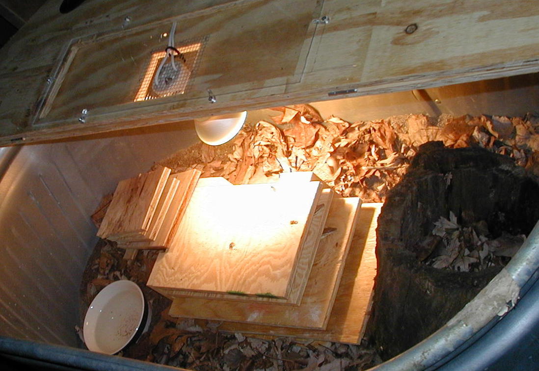 kimberly tank interior