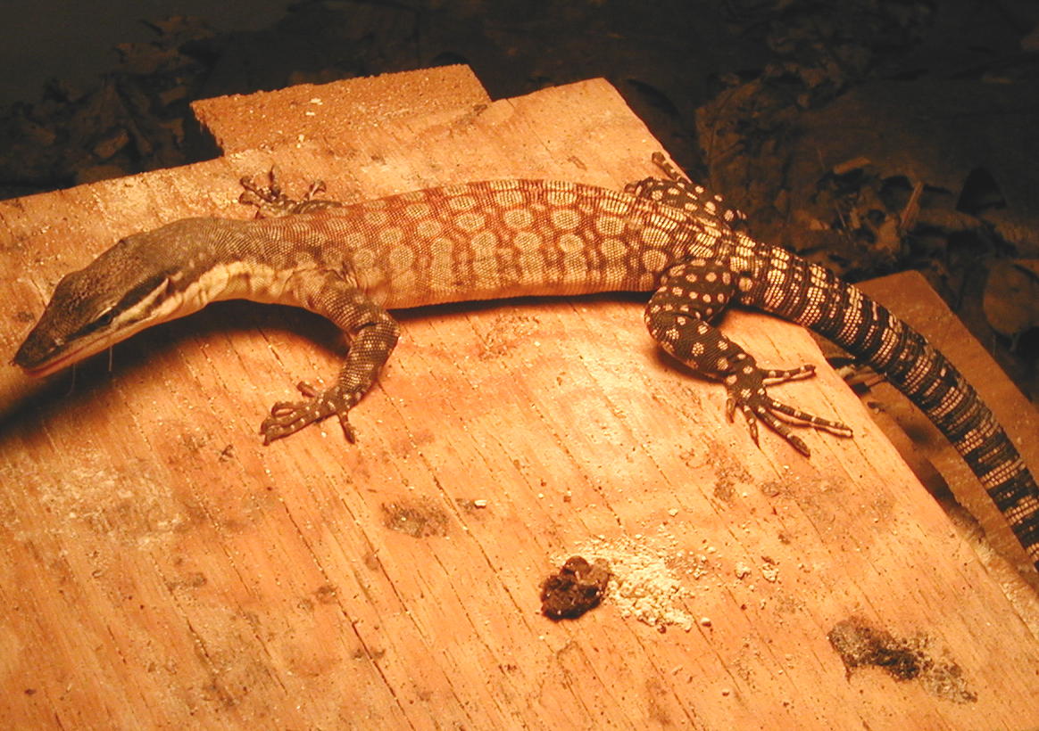 ?male #2