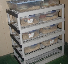 expandable kingsnake rack