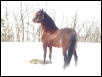 Juan in snow