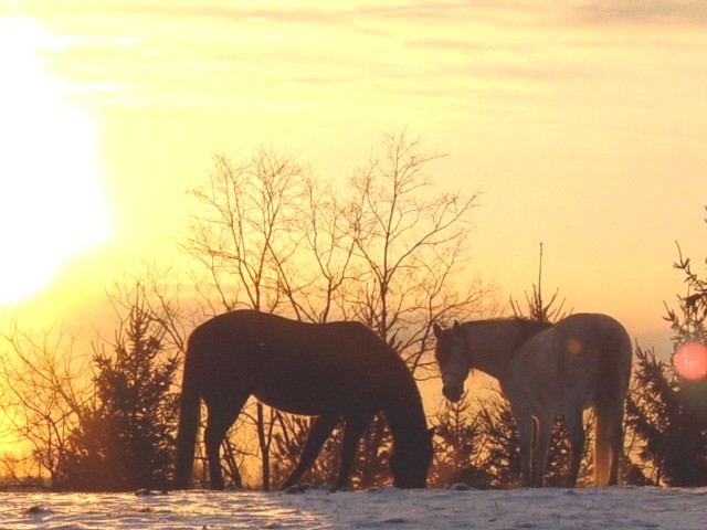 sunrise