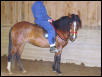 susana2004