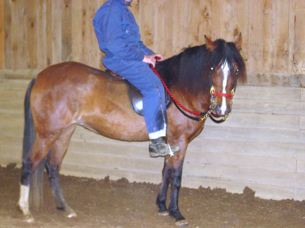 susana2004