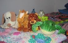 These are my buddies.