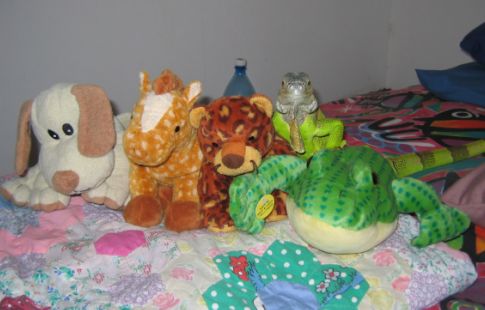 These are my buddies.