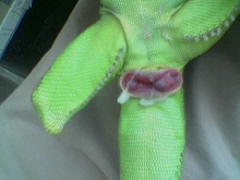 masturbating