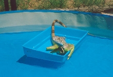Relaxing on his boat after a swim