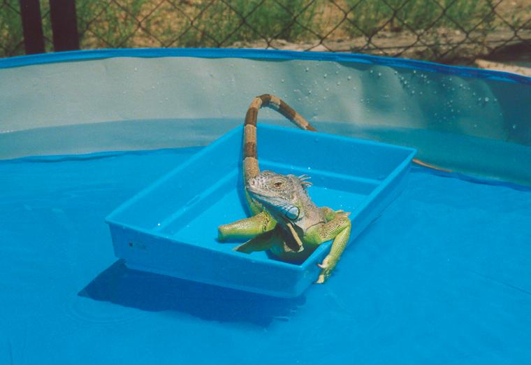 Relaxing on his boat after a swim
