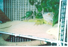 On his warm water bed