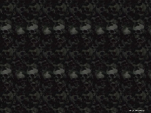 skull