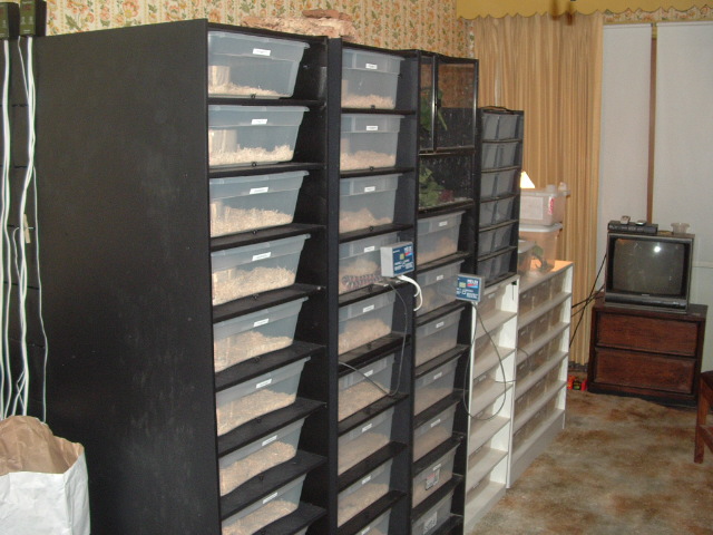 Racks