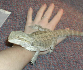 Frank at 3 months
