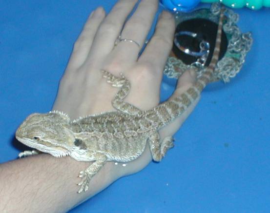 Nooooooo not water!
