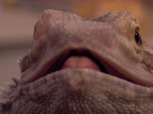 EXTREME close up