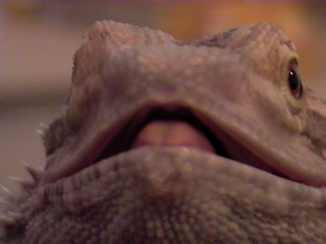 EXTREME close up