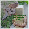 Hypo Arabesque poss het Sunglow