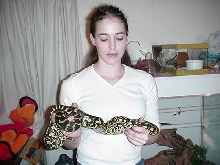 98 Jungle carpet,Nova