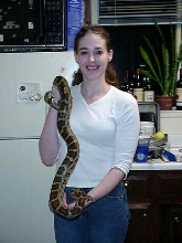 Beccah&Bonnie(ceylonese python)