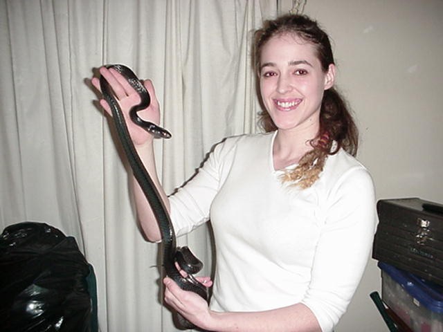 Beccah & Black Mangrove snake