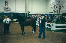 Demonstrating Bella Forma
