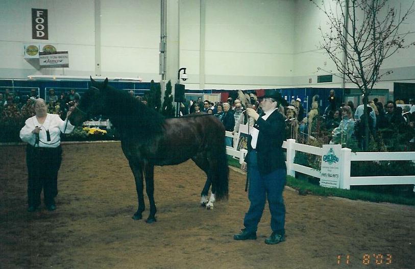 Demonstrating Bella Forma